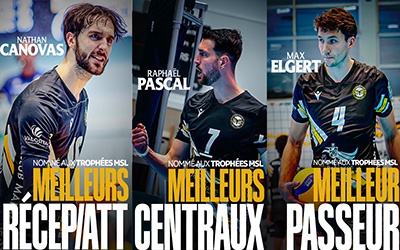 Trois Hiboux à l’honneur !